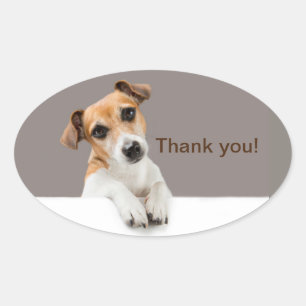 Sticker Ovale Chiots Jack Russell Mignon Adorable Merci