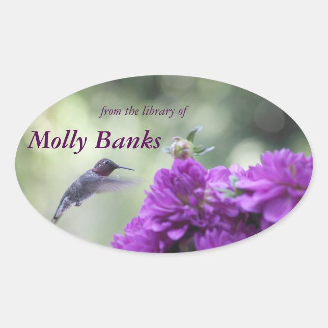Sticker Ovale Colibri à dahlias violet (Devant)