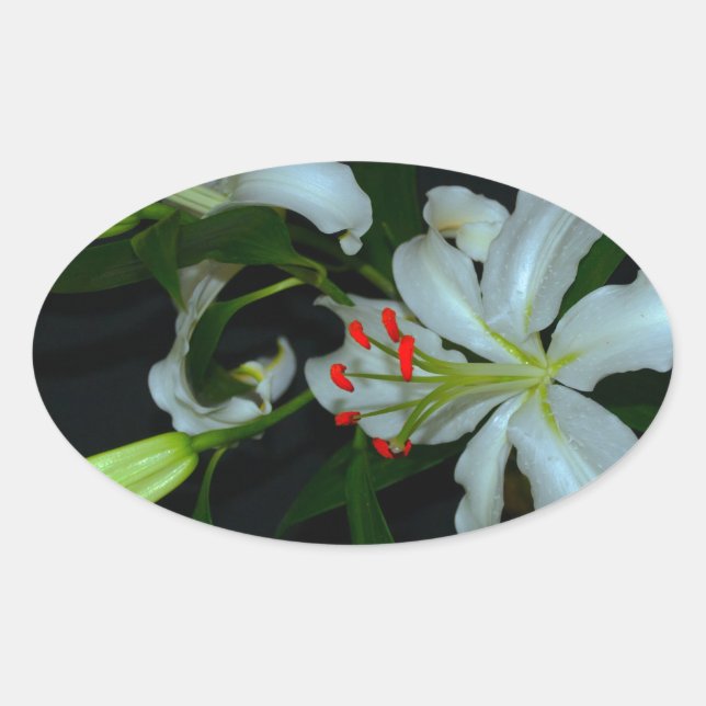 Sticker Ovale Collection Irlandaise de laiton et de fleurs (Devant)