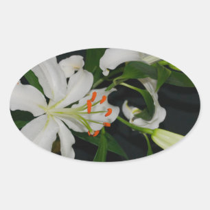 Sticker Ovale Collection Irlandaise de laiton et de fleurs