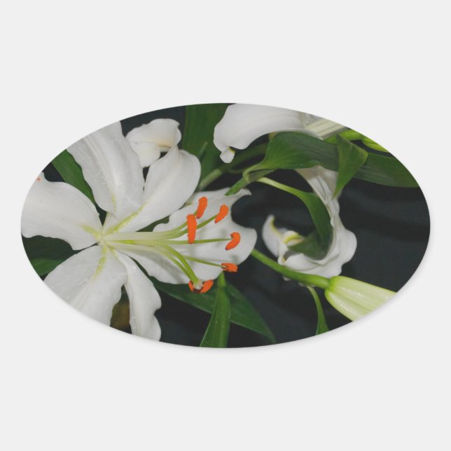 Sticker Ovale Collection Irlandaise de laiton et de fleurs (Devant)