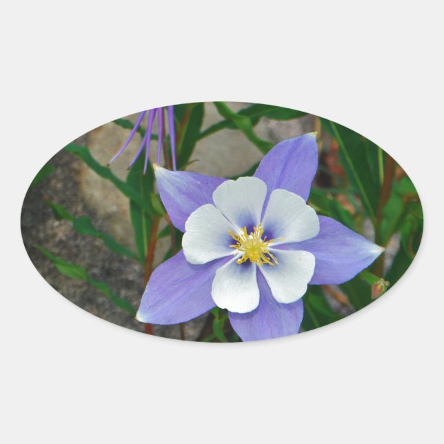 Sticker Ovale Colonne bleue (Devant)