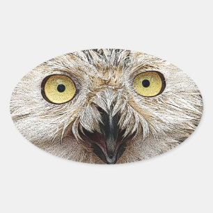 Sticker Ovale Comment Es-Tu ? Owl Qui Êtes-Vous ?