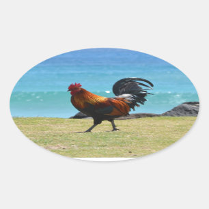 Sticker Ovale Coq Kauai