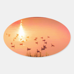 Sticker Ovale Coucher de soleil rose et de lac de pêche