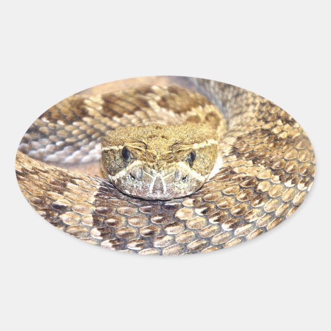 Sticker Ovale Crotte (Devant)