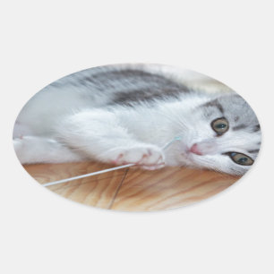 Sticker Ovale Cute Kitten jouant avec une chaîne