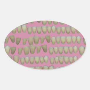 STICKER OVALE DENTISTE DENTISTES ORTHODONTIQUES BOUCHE DE DENTS 
