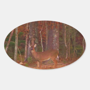 Sticker Ovale Doe a Deer in Lake Arrowhead