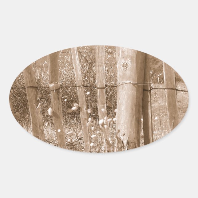 Sticker Ovale dune (Devant)