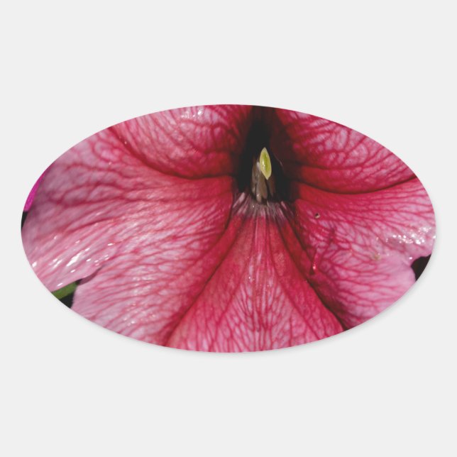 Sticker Ovale Éclosion florale (Devant)
