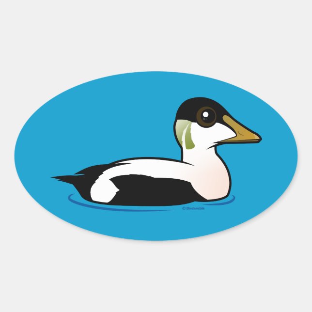 Sticker Ovale Eider commun Birdorable (Devant)
