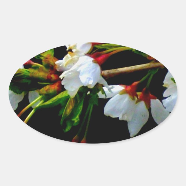 Sticker Ovale Élégant noir blanc fleuri blanc Blossom (Devant)