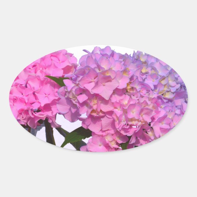 Sticker Ovale Elégante florales violettes roses hydrangées (Devant)