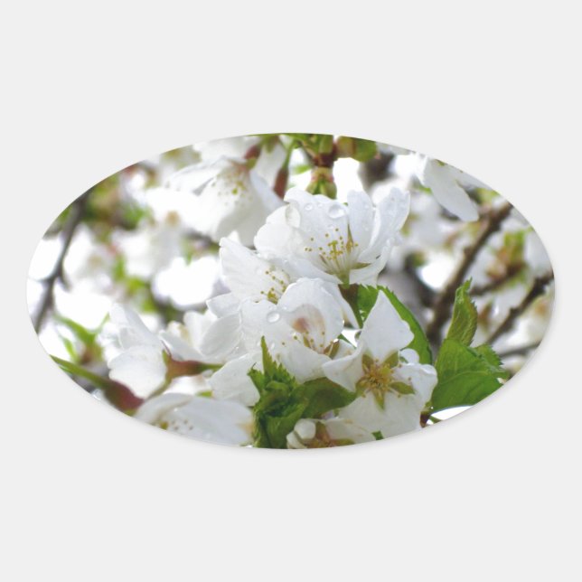 Sticker Ovale Elégante photo de fleurs florales blanches (Devant)