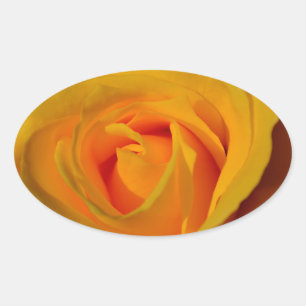 Sticker Ovale Élégante rose jaune
