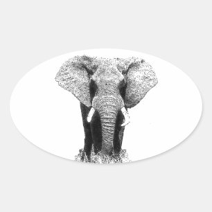 Sticker Ovale Eléphant noir et blanc