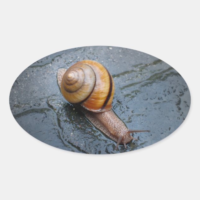 Sticker Ovale Escargots frits par jour de pluie (Devant)