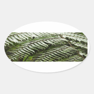 Sticker Ovale Fern Fronds II Dark Green Nature