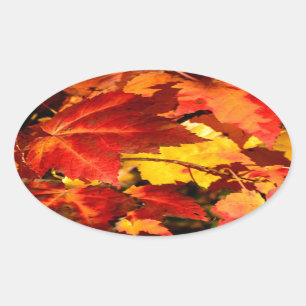 Sticker Ovale Feuilles d'automne rouges feuilles jaunes rouges
