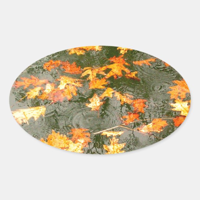 Sticker Ovale feuilles tombés sous la pluie (Devant)