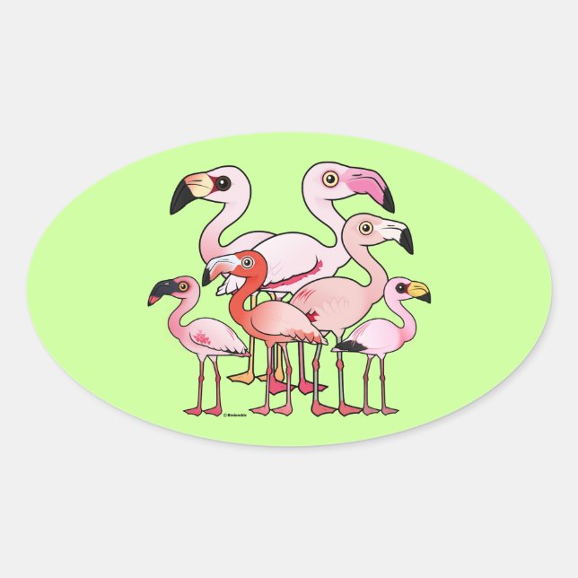 Sticker Ovale Flamboyance (Devant)