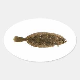 Sticker Ovale Flet - flet d'été