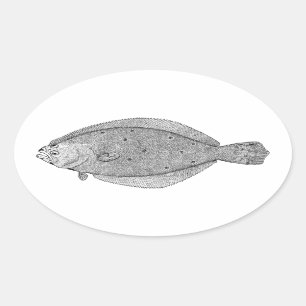 Sticker Ovale Flet - illustration de cru de flet