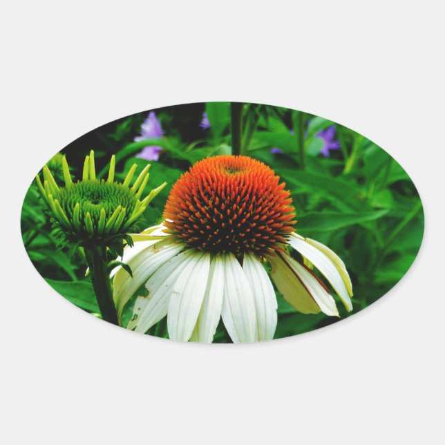 Sticker Ovale Fleurs de cônes blanches et orange (Devant)