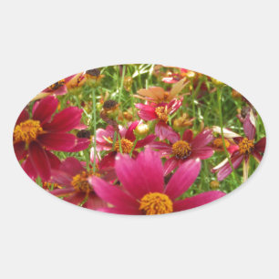 Sticker Ovale Fleurs de marguerite rose et jaune brillantes