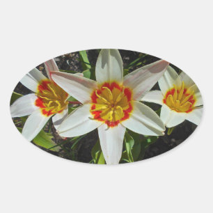 Sticker Ovale Fleurs de Pâques
