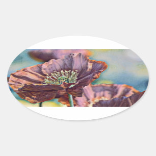 Sticker Ovale Fleurs de pavot rouge pourpre orange aquarelle