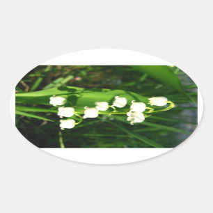 Sticker Ovale Fleurs du muguet