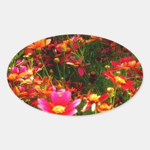 Sticker Ovale Fleurs sauvages rose et jaune pâle
