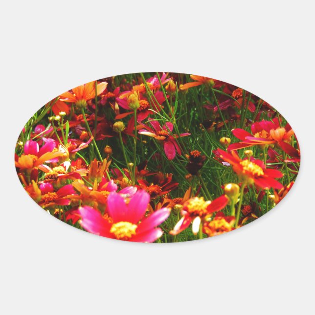 Sticker Ovale Fleurs sauvages rose et jaune pâle (Devant)