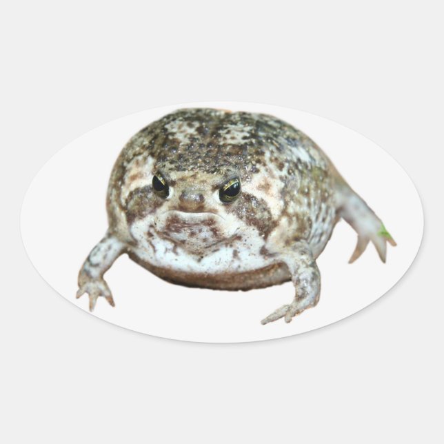 Sticker Ovale Flog (Devant)