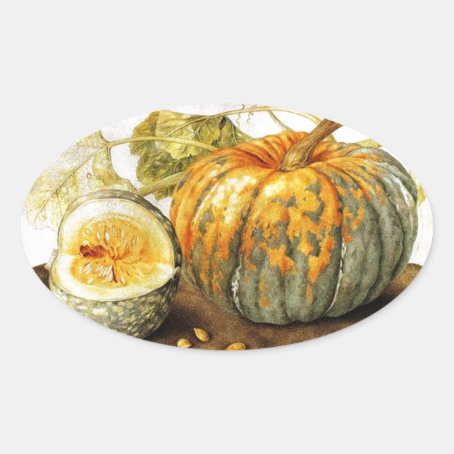 STICKER OVALE FRUITS DE SAISON / CITROUILLE (Devant)