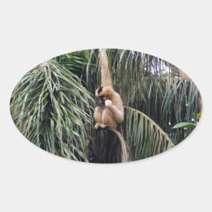 Sticker Ovale Gibbon Monkey Juste Accroché Autour,