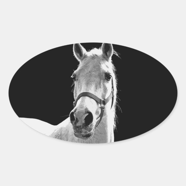 Sticker Ovale Gros plan Cheval blanc noir en nuit (Devant)