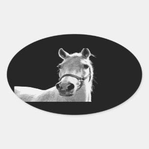 Sticker Ovale Gros plan Cheval blanc noir en nuit