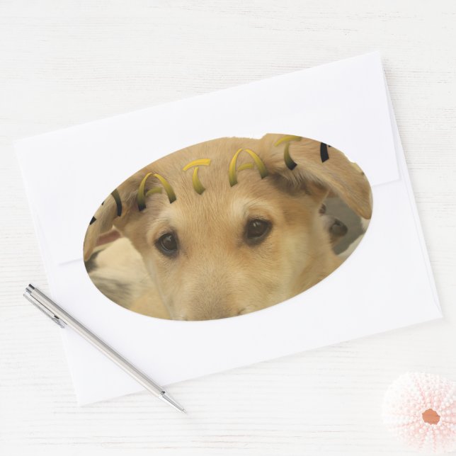 Sticker Ovale "Hakuna Matata Pup" - Insouciant Amour des chiots (Enveloppe)