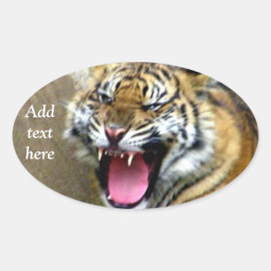 Sticker Ovale Hey_