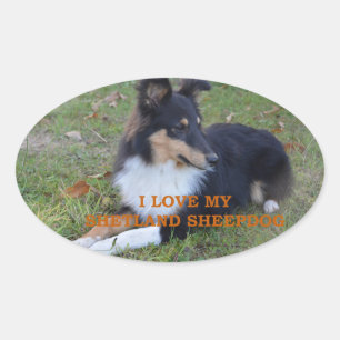 Sticker Ovale I Love My Shetland Sheepdog Black Tri