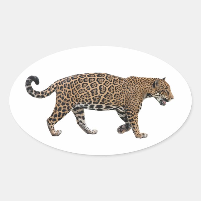 Sticker Ovale Jaguar (Devant)