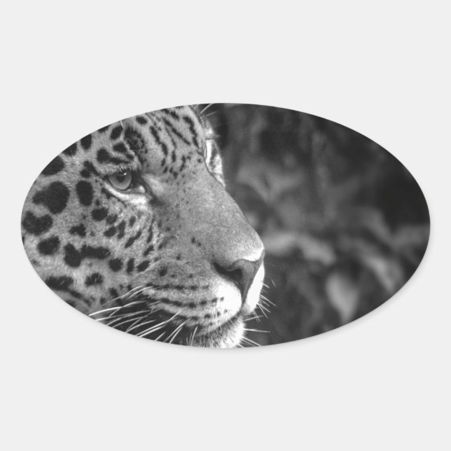 Sticker Ovale Jaguar en noir et blanc (Devant)