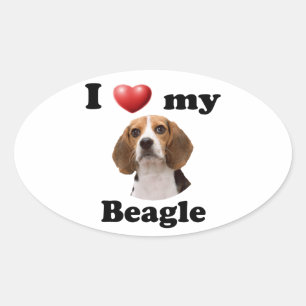 Sticker Ovale J'aime mon Beagle
