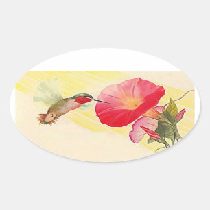 Sticker Ovale Jardin de fleurs Throated rouge de colibri
