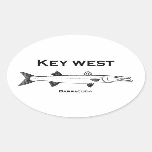 Sticker Ovale Key West Barracuda