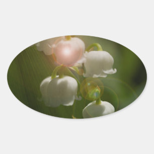 Sticker Ovale Lily De La Vallée Florale