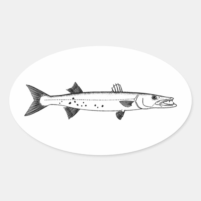 Sticker Ovale Logo de grand barracuda (Devant)